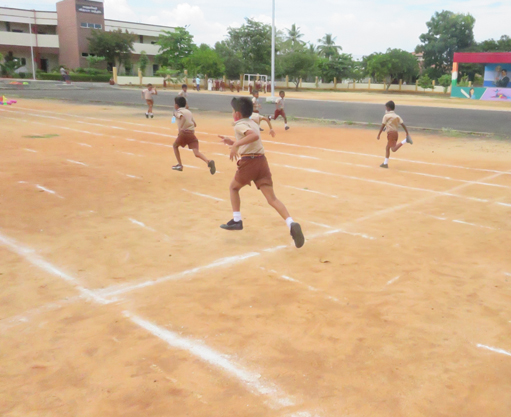Maharishi Vidya Mandir